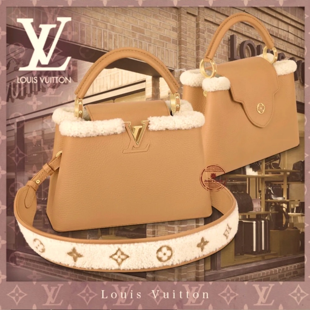 Limited Edition Louis Vuitton Capucines BB Bag